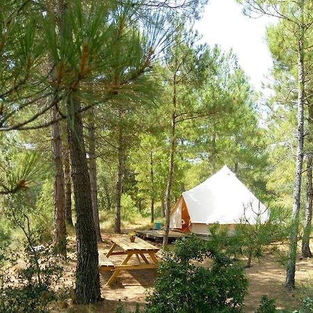Forest Days Navés المظهر الخارجي الصورة