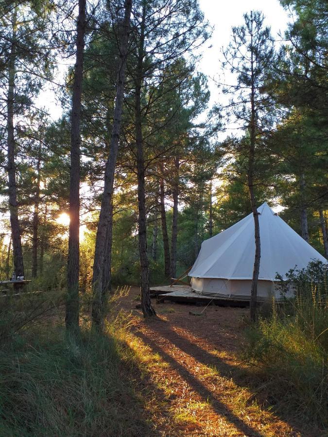 Forest Days Navés المظهر الخارجي الصورة