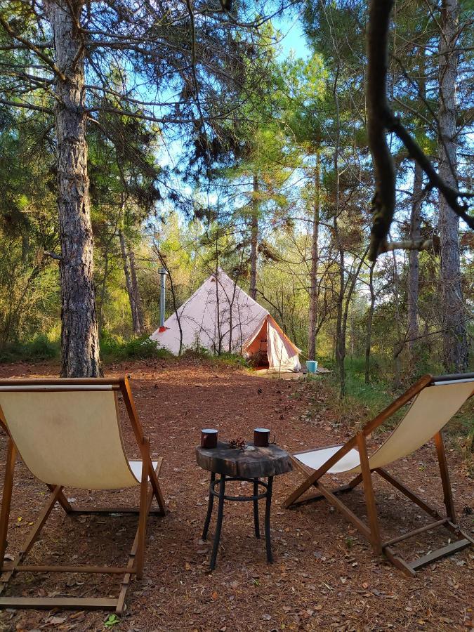 Forest Days Navés المظهر الخارجي الصورة