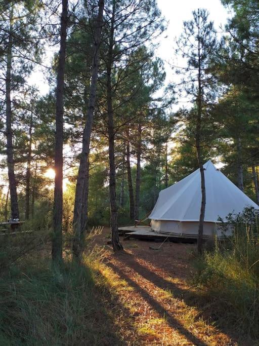 Forest Days Navés المظهر الخارجي الصورة