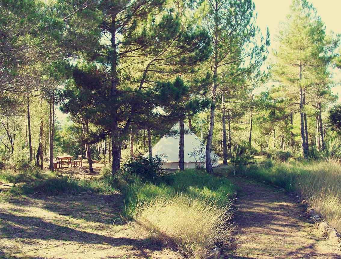 Forest Days Navés المظهر الخارجي الصورة